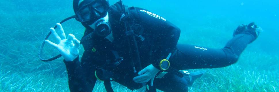 OK Diving Malta