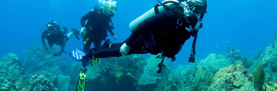 Cha Cha Cha Dive Shop