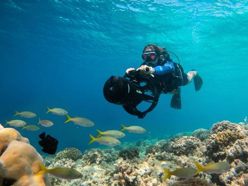 Velaa Private Island Dive Center