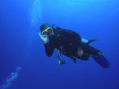 Scuba ID
