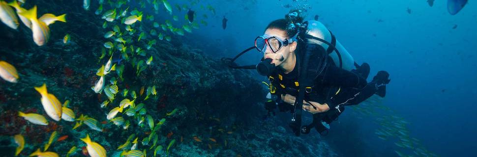 Dive and Dive