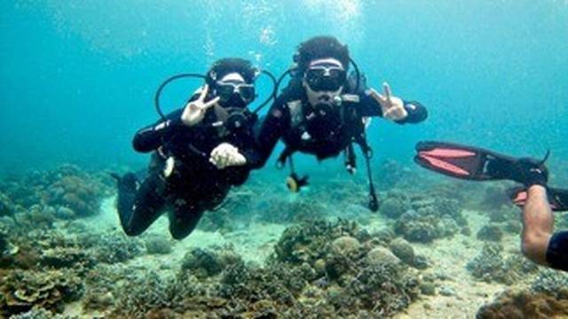 El gouna Blue corner diving clup & snorkelling& Boat trips &quad safari desert