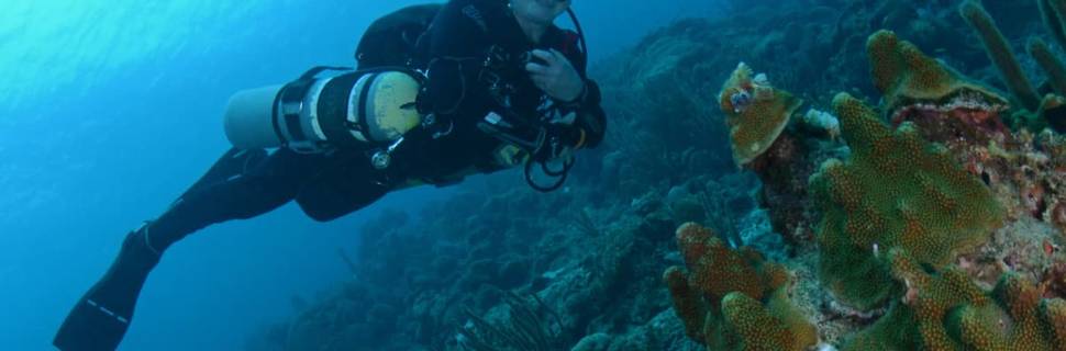 Diversified Diver Specialties