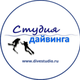 Dive Studio