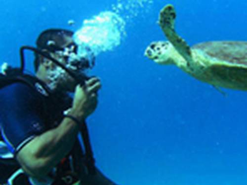 Dive-Hurghada