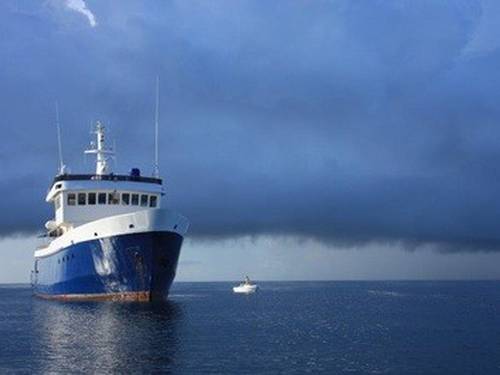 Mayas Dugong Liveaboard