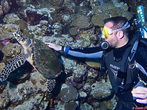 Searacer Dive Academy