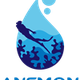 Anemon Divers