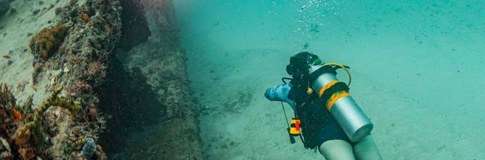 Divers Paradise