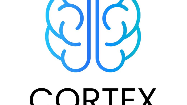 Cortex Freediving Phuket