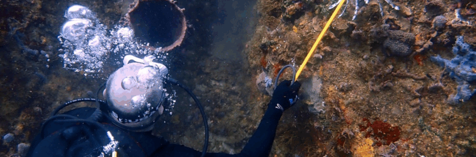 Scuba Panama