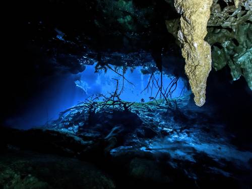Infinity2 Diving