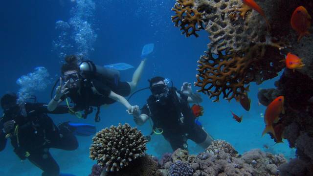 Lak Scuba