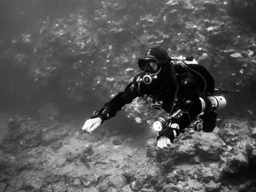 Diver's 7