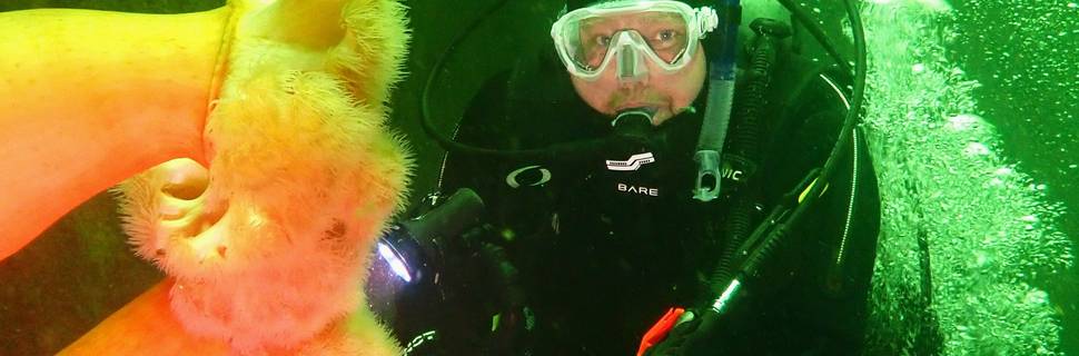 Sundown Diving