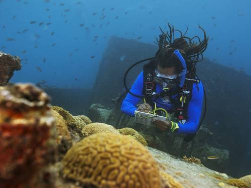 Hatts Diving Headquarters, Inc.