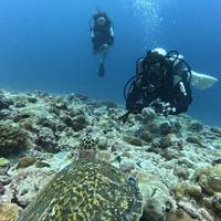 Benjaal Scuba