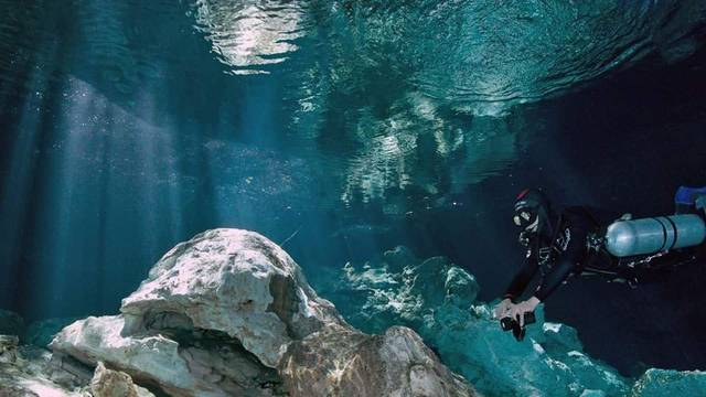 DiveMex