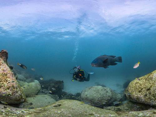 Dive Centre Manly