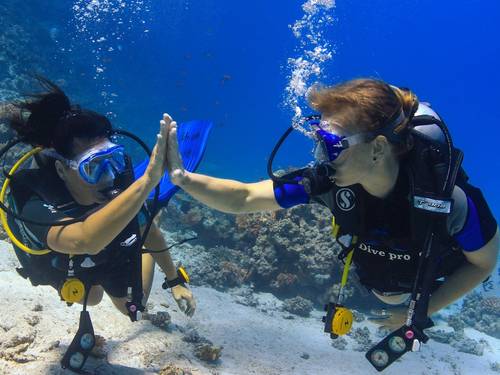 Dive Pro Academy Belgium