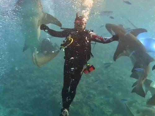 Masktank Scuba