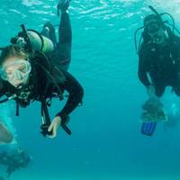 Dive Center el Mar de Valencia