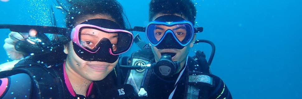 Free Willy Diving, Inc