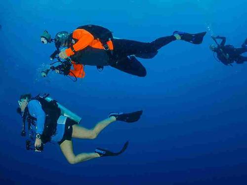 Thalassa Dive & Wellbeing Resort Manado