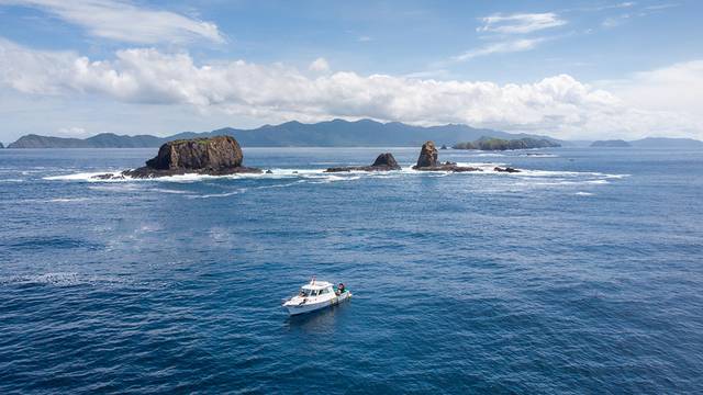Rich Coast Diving