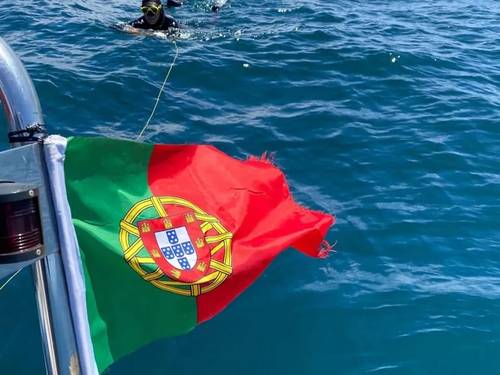 Águas Vivas Apneia - Freediving Portugal