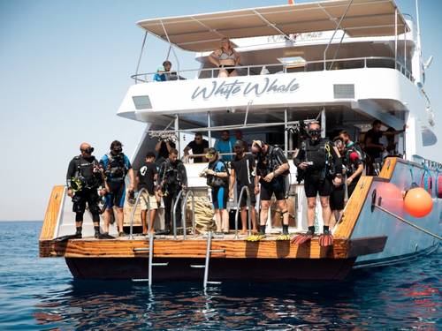 White Whale Divers | Scuba Diving Center in Hurghada