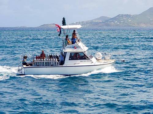 Dive Sint Maarten