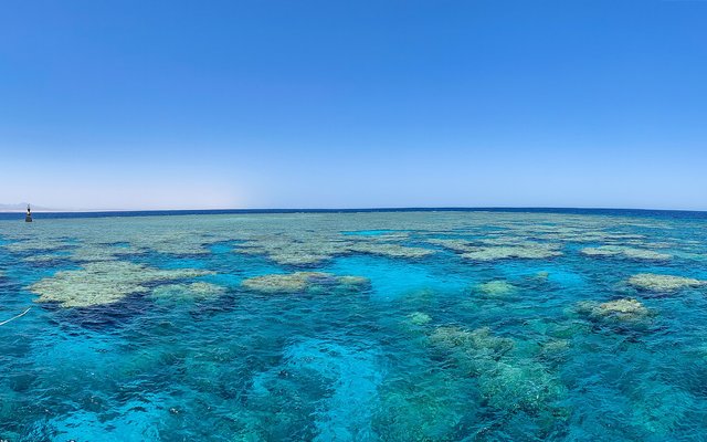 Diving in Egypt: An Honest Guide to the Red Sea