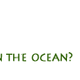 Ocean Tribe