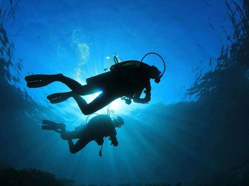Fort Young Dive
