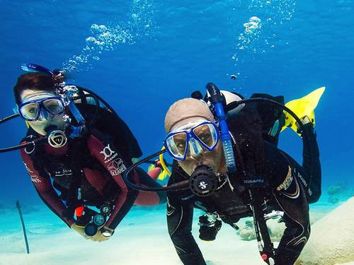 Neel Diving