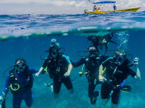 Sea Hawk Divers
