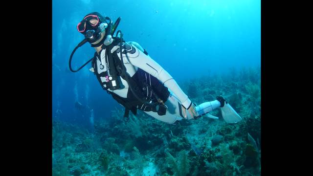School of Fish Swim and Scuba Inc.