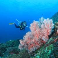 Bangtao Dive Center