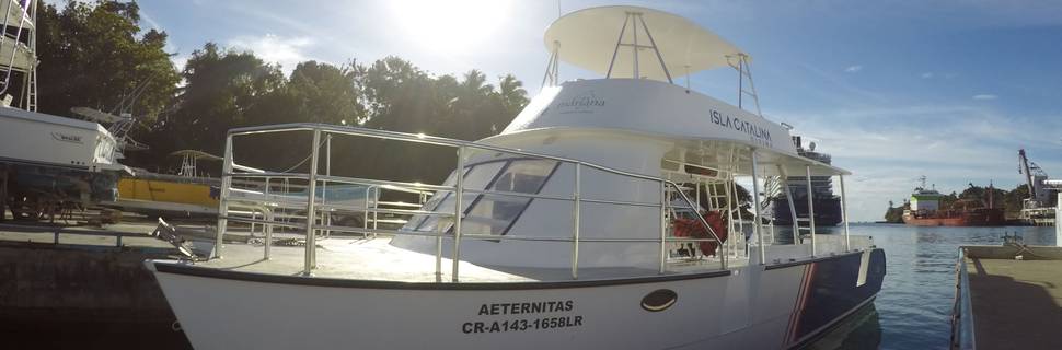Isla Catalina Diving
