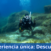 Super Dive Tossa de Mar