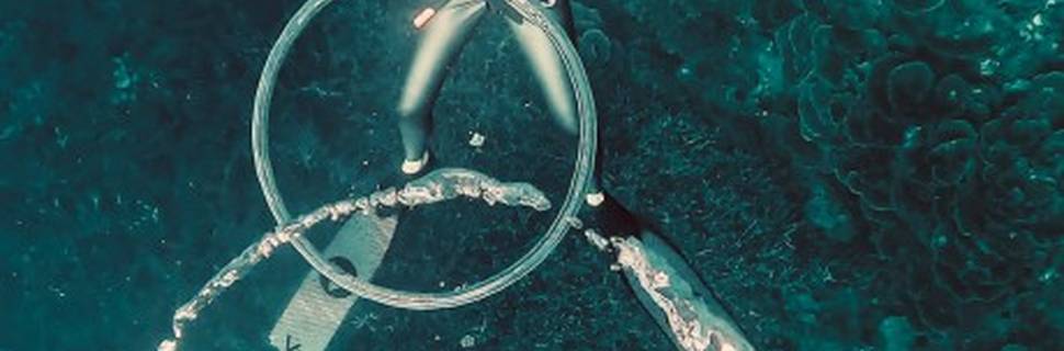 Freedive Tioman