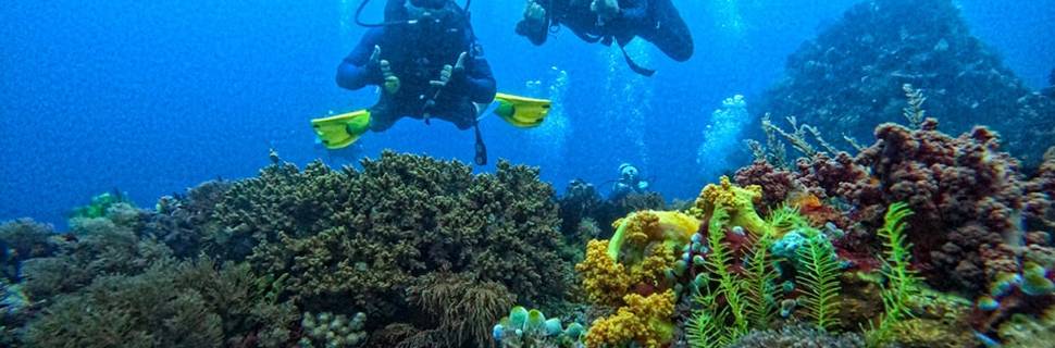 Ticao Island Dive Camp & Resort