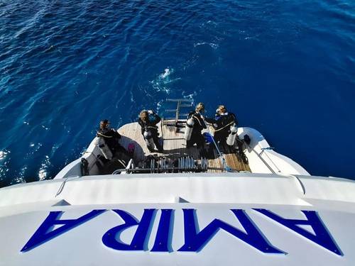 Big Blue Diving Club