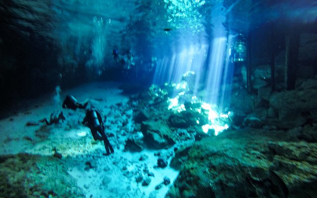 Diving in Mexico: Reefs, Wrecks, and Caves Full of Sweet Water