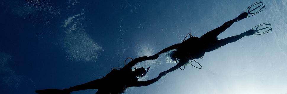 Seashell Divers - Koh Tao