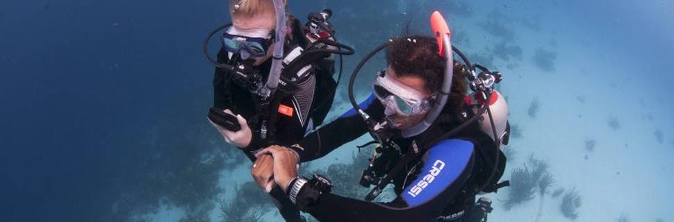 Sin City Scuba