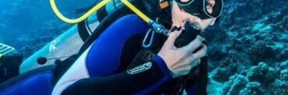 Dive Culture