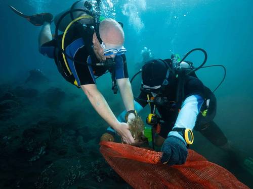 Bali Dive Resort and Spa