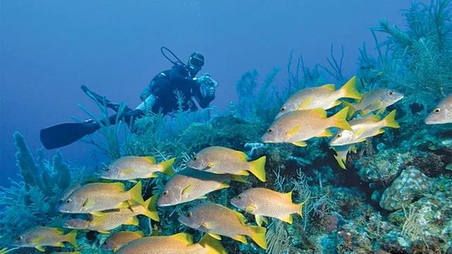 Scuba Vida Varadero